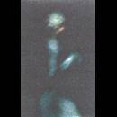 Tauthr : Tauthr (demo)